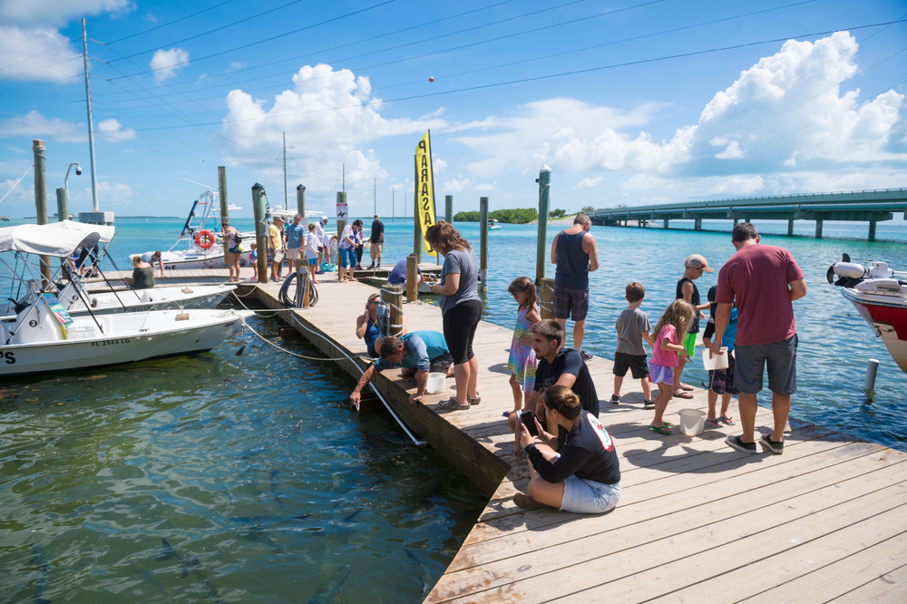 Islamadora,,Florida,,Usa,-,September,,2018:,Tourists,Gather,On,A