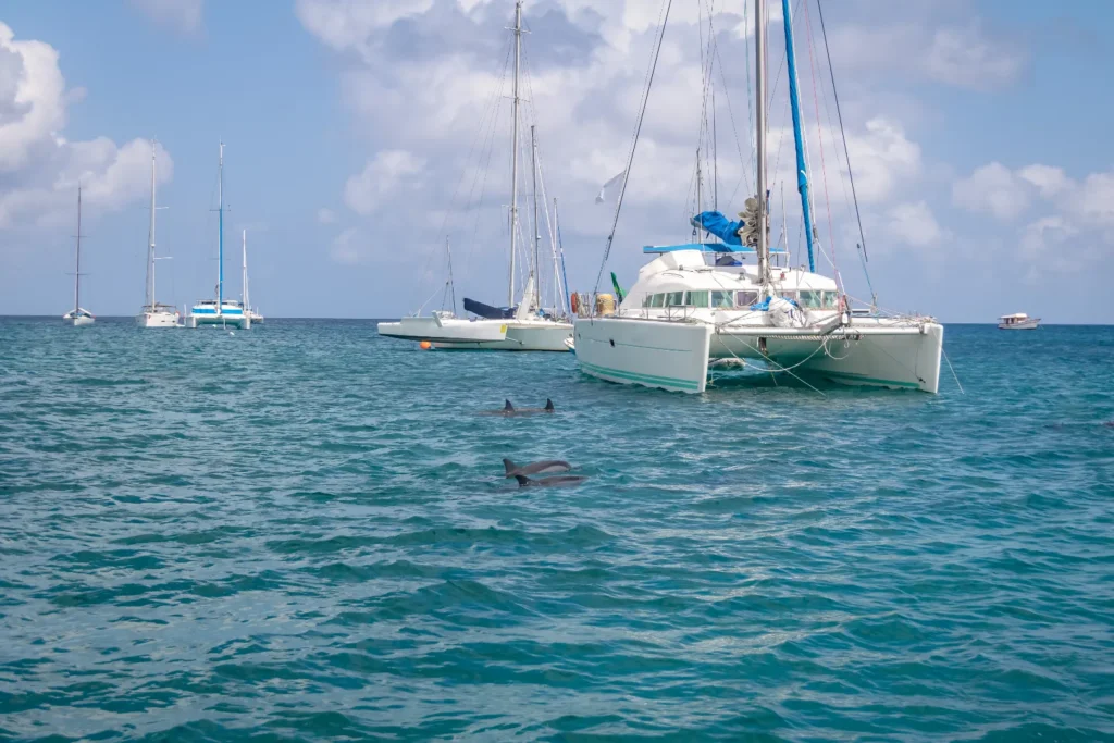 A Fishing Catamaran